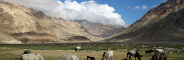 lahaul spiti from kozhikode kerala
