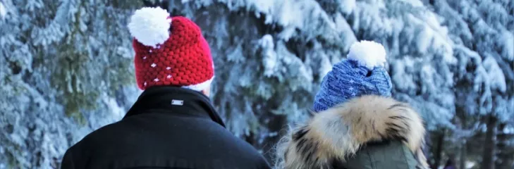 Romantic honeymoon packages of Shimla Manali for couples