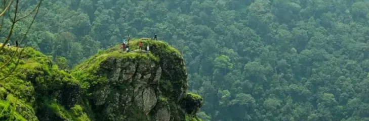 Get To Know How To Plan A Perfect Summer Trip To Kerala With Friends