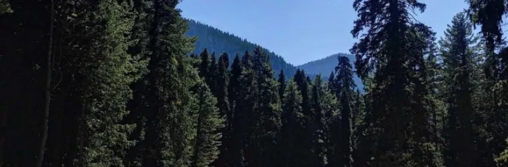 Jammu And Kashmir Tours: The Ultimate Travel Guide To Plan An Unforgettable Journey