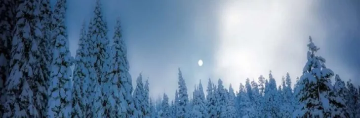 Top Snowfall Destinations To Explore Near New Delhi Including Spiti Valley