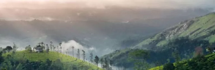 Explore Top Offbeat Places On Your 7 Days Kerala Trip