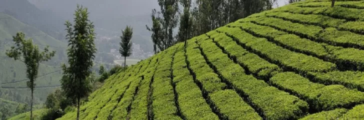 Experience Adventure Tour in Kerala: Best Tips To Enjoy Top Activities