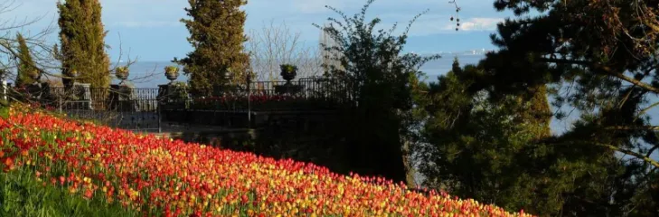 Unique places to visit in Srinagar beyond the tourist hotspots