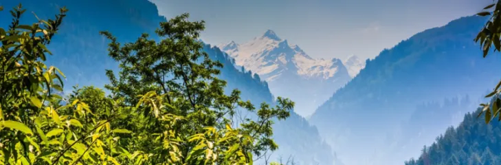 Affordable Shimla Packages from Kerala: What You Need to Know