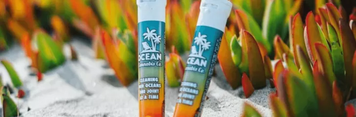 hemp tubes