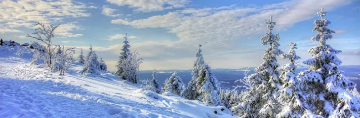 Shimla Family Trip: The Best Time To Explore The Queen Of Hills