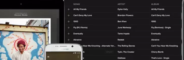 Spotify features