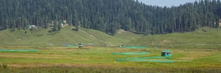 Best Srinagar Vacations: Get To Know Why Visit In Summer And Winter