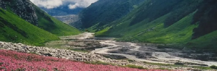 Valley of flowers