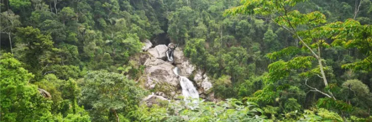 Hainan Tropical Rainforest National Park