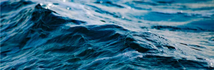 Raw materials from the ocean are unnecessary for green technologies