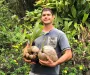 Tree Services
