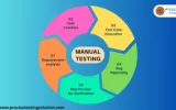 Manual Testing Services in Noida