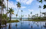 Memorable Journey To Kerala From Ahmedabad With Tour Itinerary