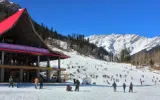 Shimla and Manali holidays