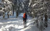 Shimla Manali winter packages