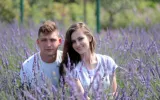 Top 10 Tips For A Stress Free Kashmir Honeymoon Tour To Enjoy An Unforgettable Trip
