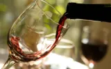 Red Wines