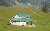 Kashmir tour guide