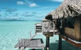 Andaman Islands Tourism Explore Marine Life