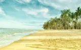 Andaman travel guide What You Need to Know Before Travel