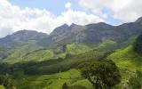 Experience Splendid Beauty Of Hills By Visit In Kerala During The Best Time
