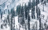 Explore Charming Landscapes And Rich Culture With Jammu And Kashmir 7 days Tour From Lucknow