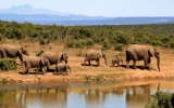 Kerala Adventure Trip: A Best Guide To Adventure Things To Do In Kerala For An Unforgettable Journey
