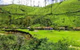 Kerala backwaters tour Where to Visit for Scenery