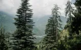 Manali in winter