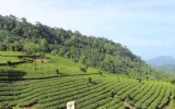 Kerala honeymoon trip