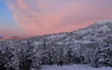  Shimla Manali tour Know This About Eco Friendly Travel