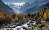 Tourism In Shimla Manali: How To Choose The Perfect Packages
