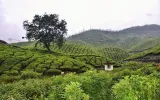 Best Tips To Plan A Kerala Pre Monsoon Vacations From Nellore City