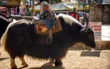 Tourist attraction of India