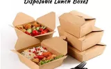 disposable lunch box