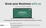 Top Web Development Company in Indore