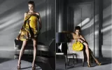 Fashion Photographer