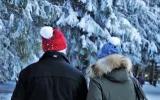 Romantic honeymoon packages of Shimla Manali for couples