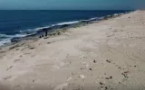 Mediterranean beaches