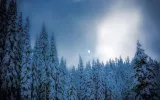Top Snowfall Destinations To Explore Near New Delhi Including Spiti Valley