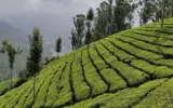 Experience Adventure Tour in Kerala: Best Tips To Enjoy Top Activities