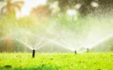 Miami's premier lawn care and maintenance service