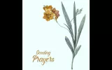 free sympathy cards