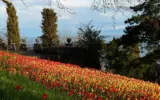 Top Kashmir Sites: What to See and Know